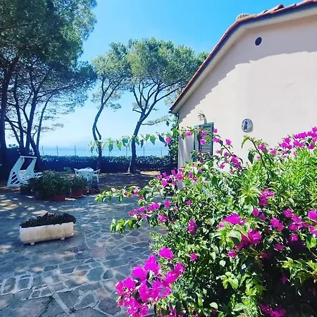Dei Cavallucci Marini Casa vacanze *